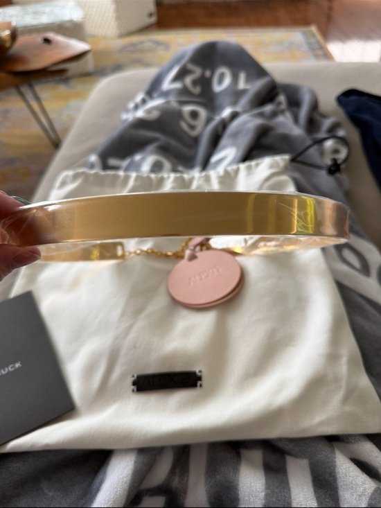 Gold Tone Minimal Metal belt